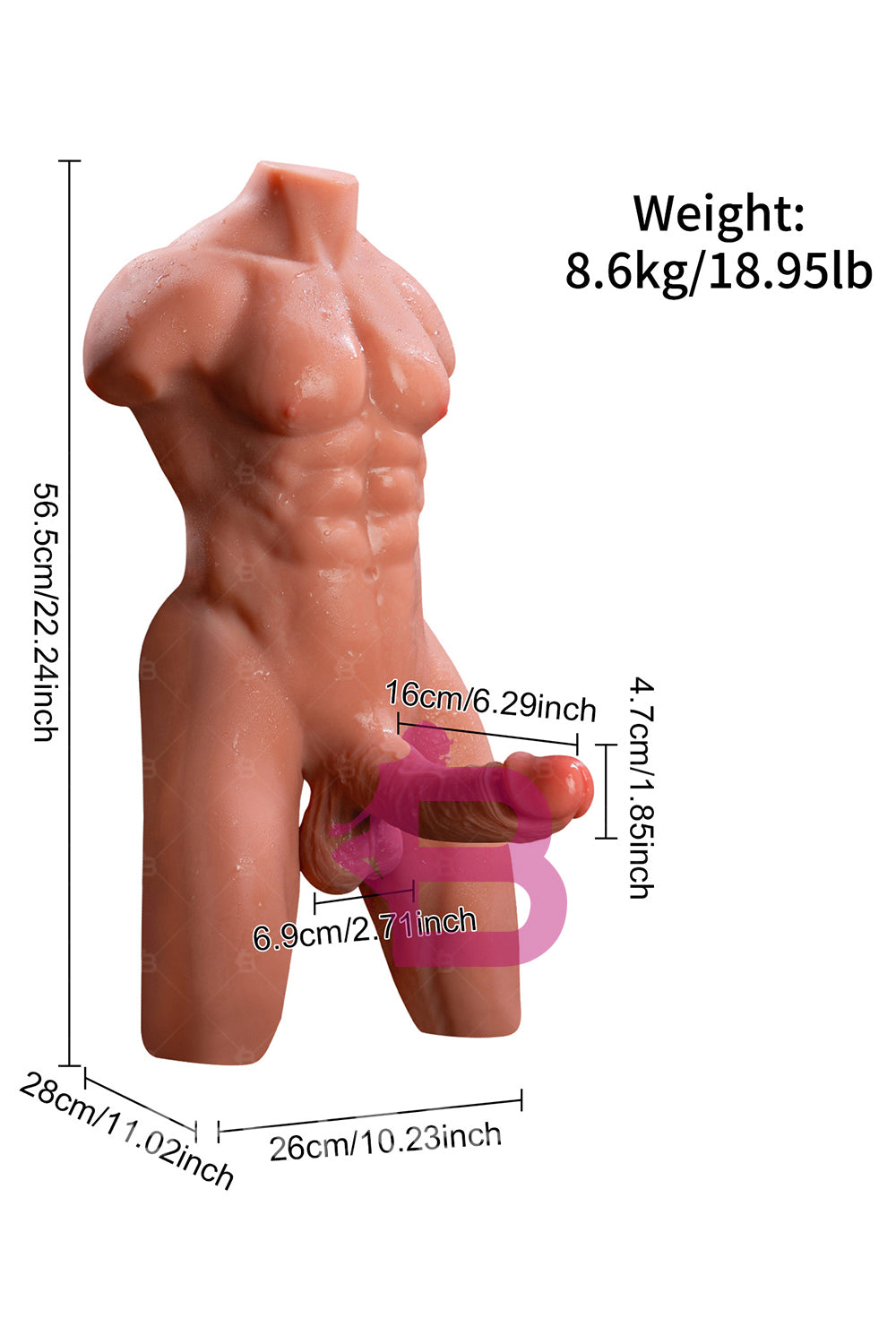 US Stock - SQ-MAR30035 Half Body Strong Male Sex Doll Torso TPE Electric Dildo Male Torso Love Doll