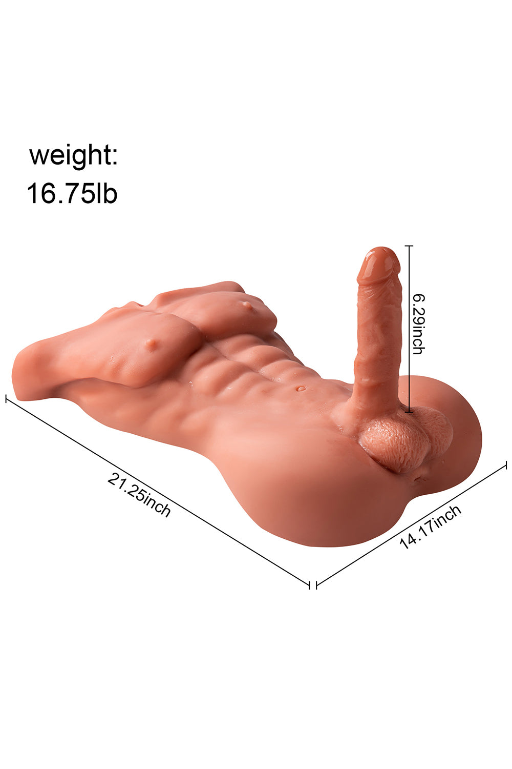 EU Stock - Male Doll XS-MA30008 Torso Sex Doll Realistic TPE Love Doll