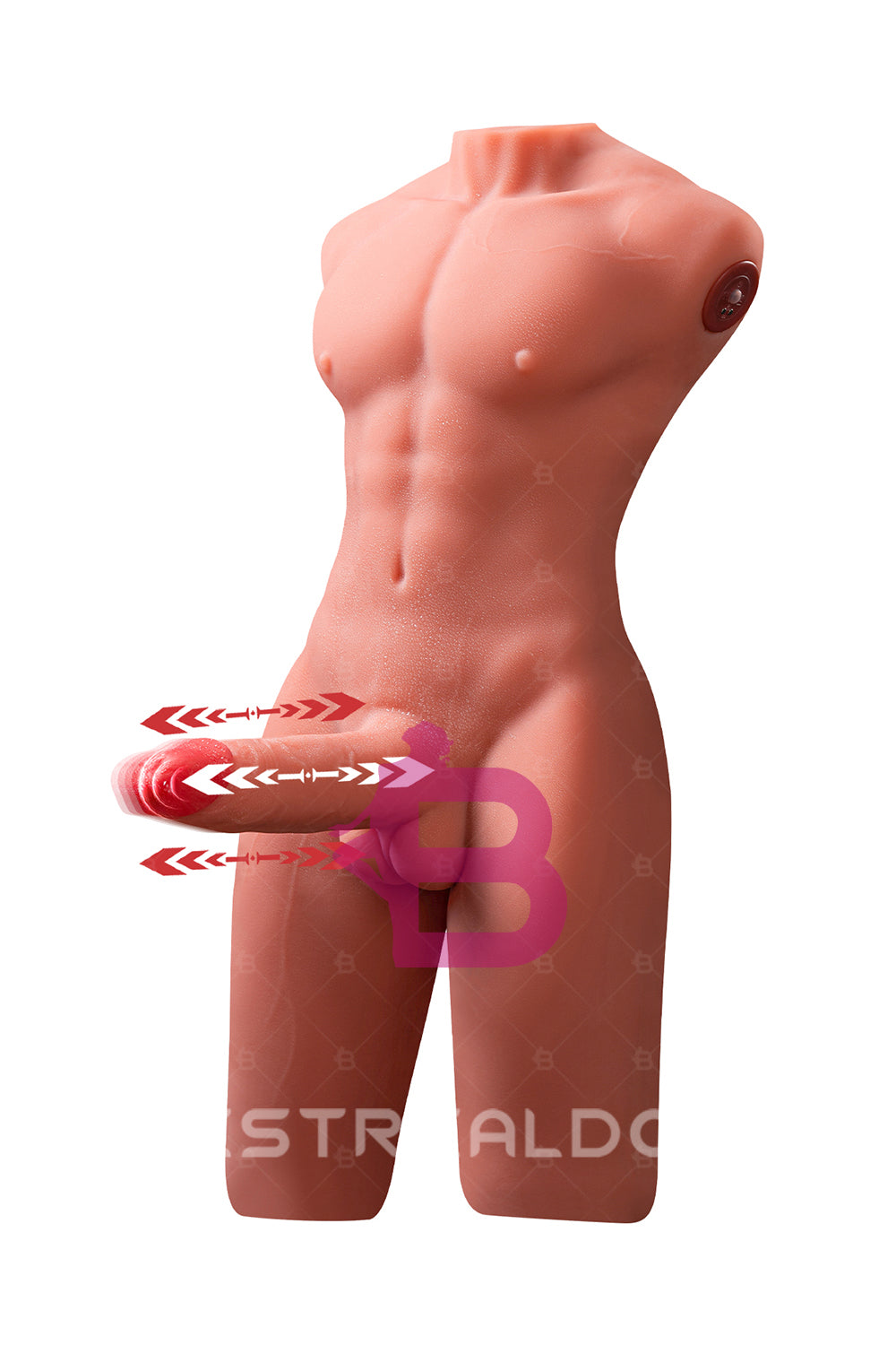 US Stock - SQ-MAR30023 55cm Half Body Male Sex Doll Torso Electric TPE Torso Doll with Automatic Dildo Male Love Doll
