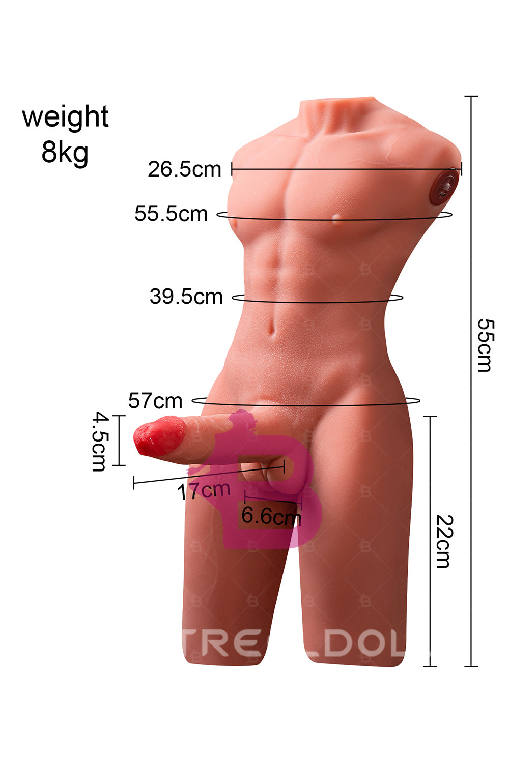 US Stock - SQ-MAR30023 55cm Half Body Male Sex Doll Torso Electric TPE Torso Doll with Automatic Dildo Male Love Doll